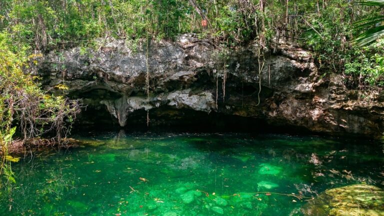 CUÁLES SON 5 MARAVILLOSOS CENOTES EN MÉXICO PARA VISITAR