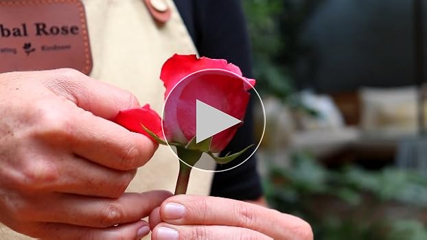 Cuáles son las 17 variedades de vibrantes flores rojas