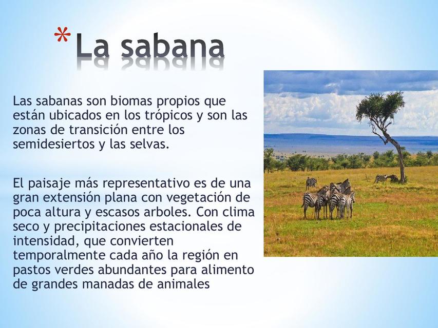 cuales son las caracteristicas y la fauna de la sabana