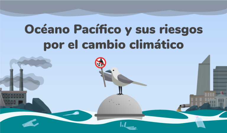 Cuáles son las causas, efectos y soluciones del aumento del nivel del mar