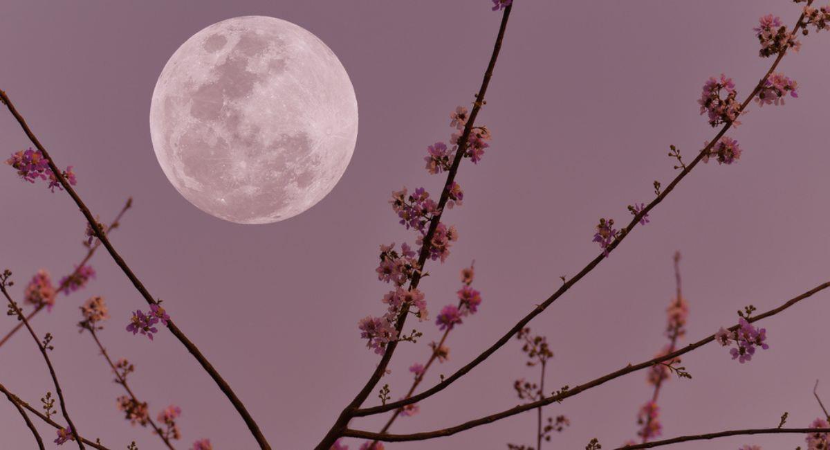 cuales son las fases y nombres en el ciclo lunar