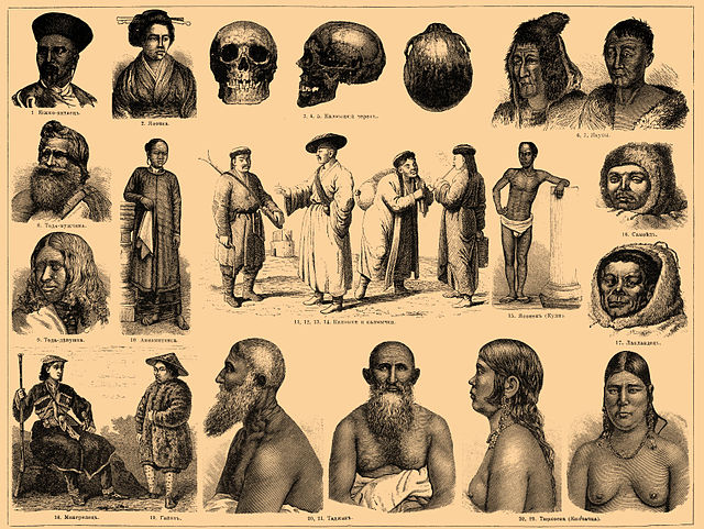 Cuáles son las principales culturas y comportamientos en antropología