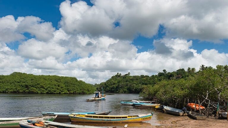 Cuáles son las prioridades para conservar la biodiversidad en México