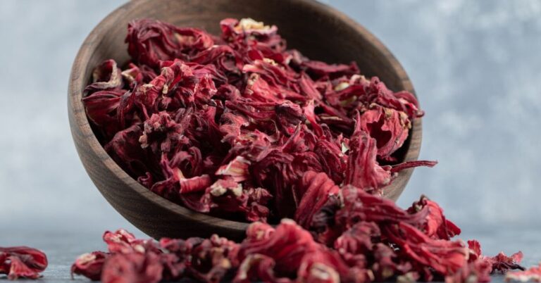 Cuáles son las propiedades, beneficios y contraindicaciones del hibisco