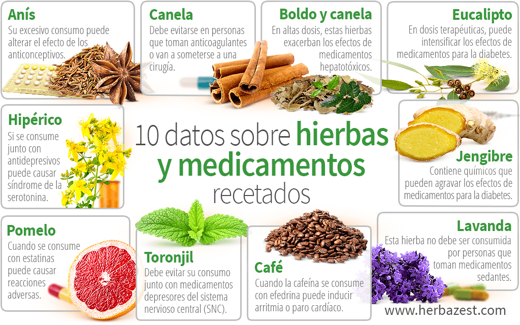 cuales son las propiedades beneficios y contraindicaciones del hiperico
