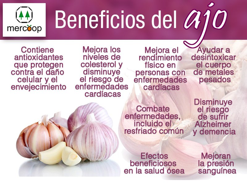 cuales son las propiedades beneficios y riesgos del ajo crudo