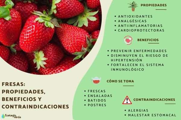 Cuáles son las propiedades, beneficios y riesgos del maracuyá