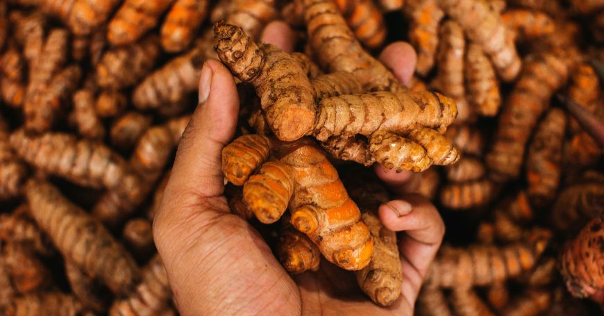 cuales son las propiedades beneficios y usos de la curcuma