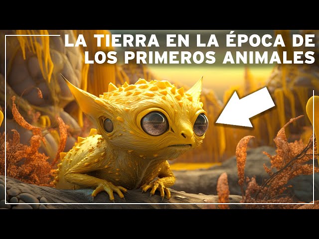 Cuáles son los 25 Animales Españoles que Debes Conocer