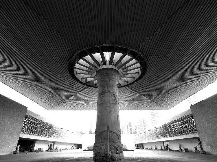 cuales son los 8 museos imperdibles en la ciudad de