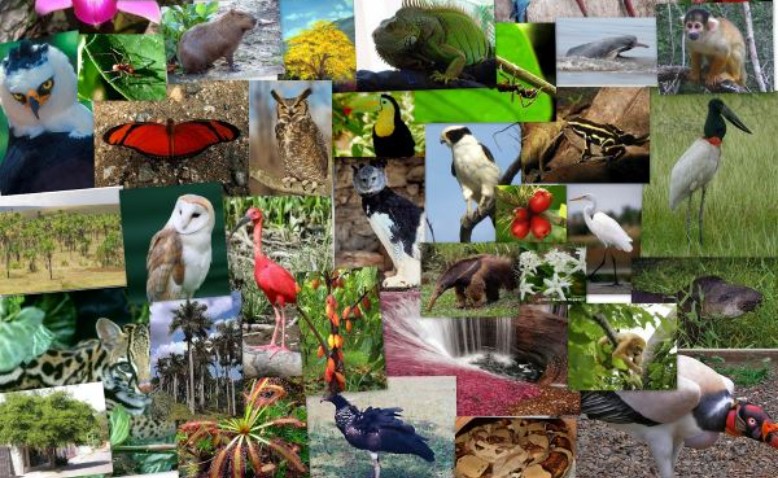 cuales son los ecosistemas de colombia y su importancia