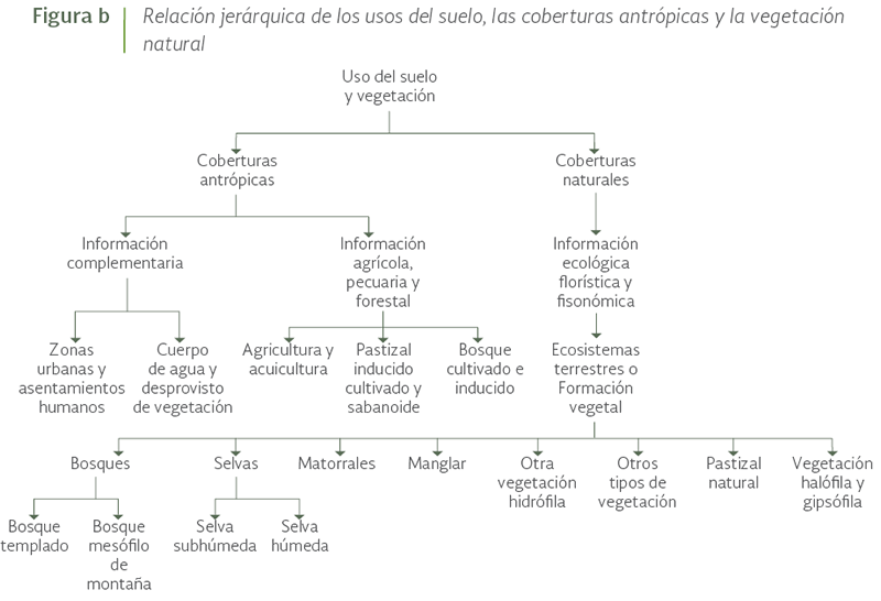 cuales son los elementos y componentes de los ecosistemas
