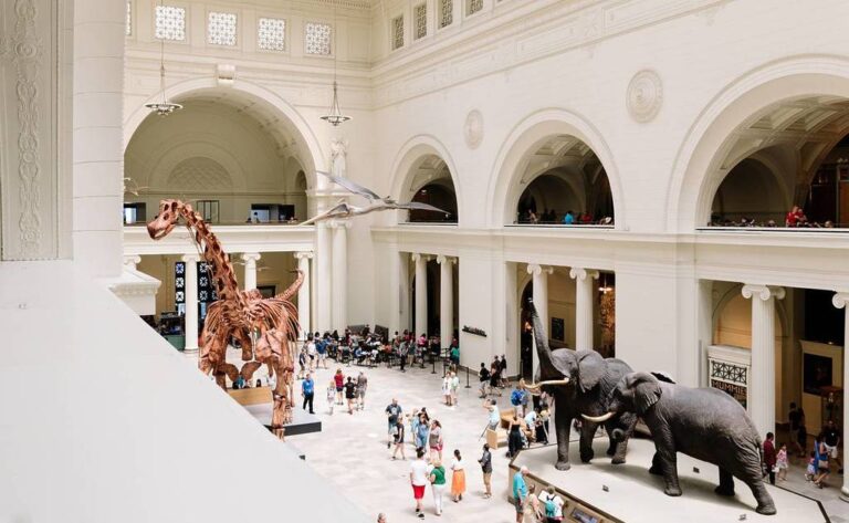 Cuáles son los interesantes Museos de Historia Natural