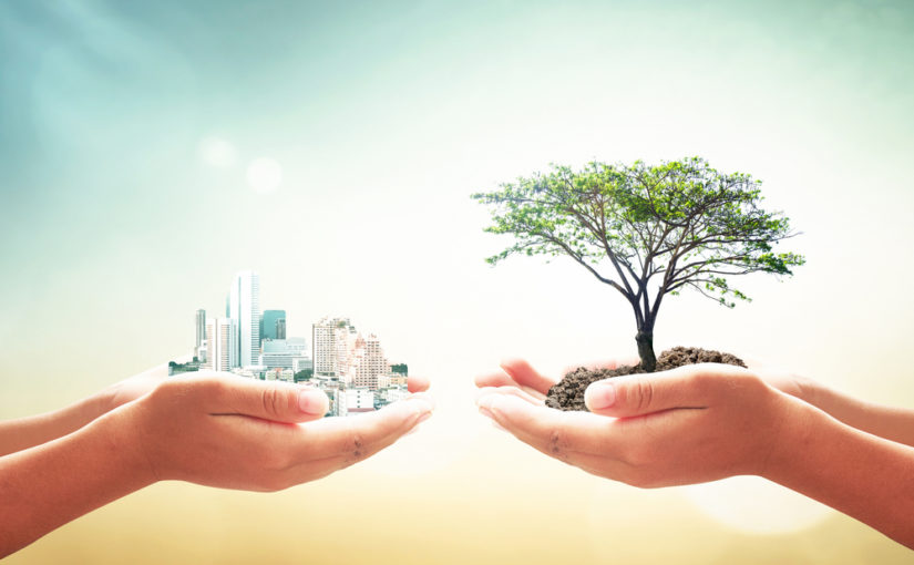 cuales son los fundamentos y beneficios de los recursos naturales