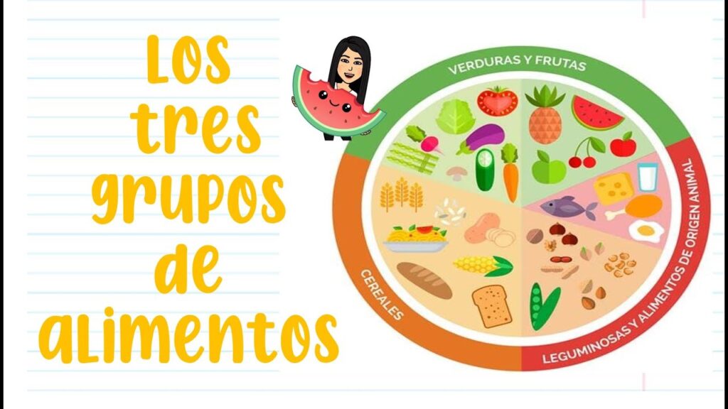 cuales son los principales tipos y clasificaciones de frutas