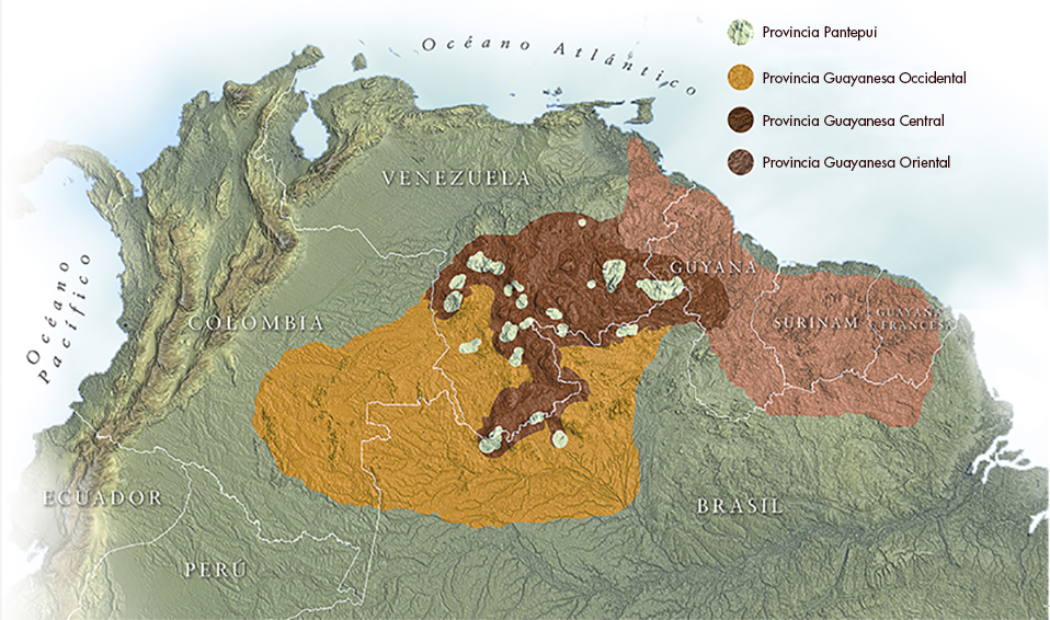 cuales son los secretos de la vida prehistorica en el paleozoico
