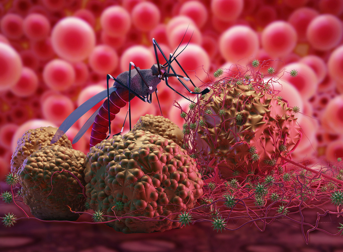 Cuáles son los síntomas, tratamiento y prevención del dengue hemorrágico