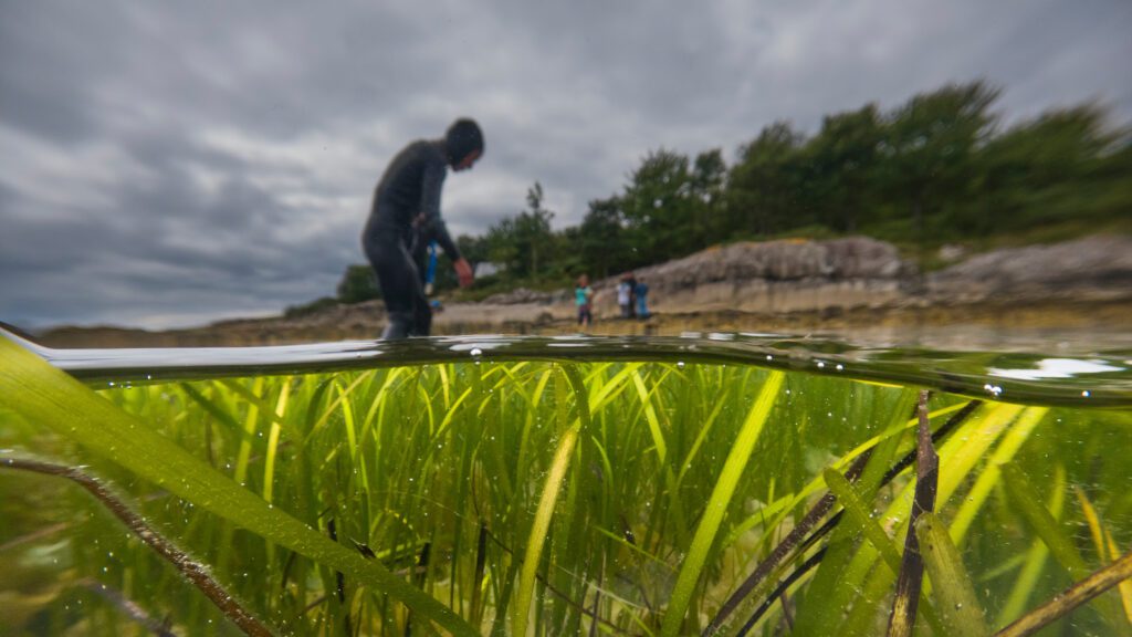 cuales son los sitios prioritarios para la restauracion ecologica