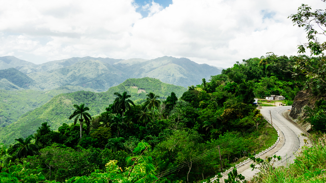 cuales son los tipos y caracteristicas del clima de selva