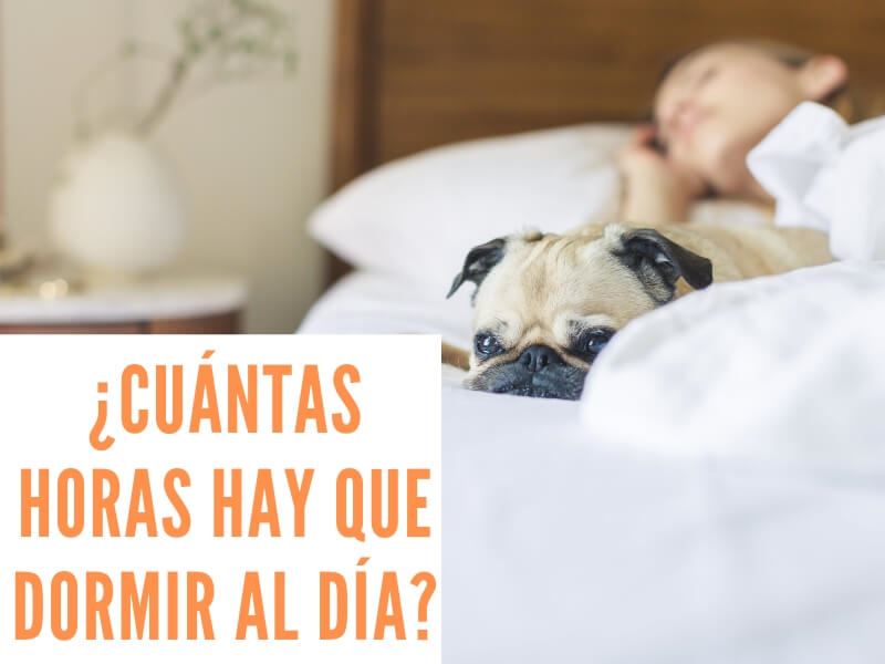 cuantas horas de sueno al dia son ideales segun las edades