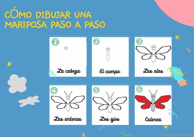 Cuántas patas tiene la mariposa Descubre la respuesta aquí