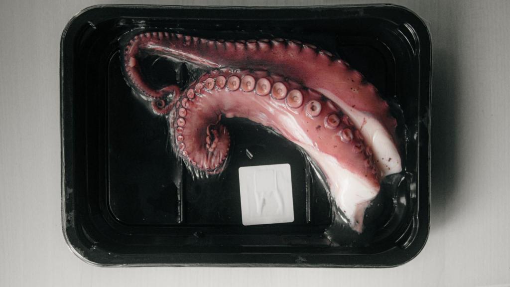 cuantas patas tiene un pulpo conoce sus tentaculos y mas