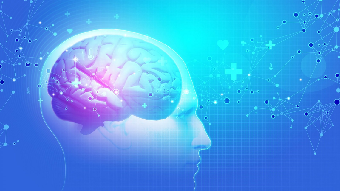 cuanto tiempo tarda el cerebro en memorizar informacion