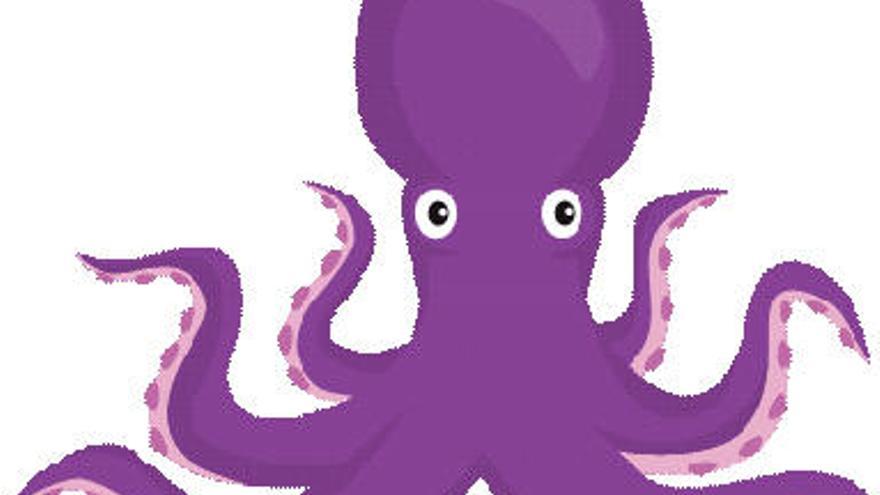 cuantos tentaculos tiene un pulpo y cuales son sus funciones