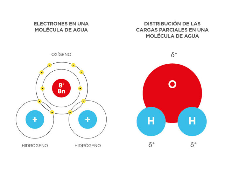 Cuerpo de agua: Explora la Diversidad de los Cuerpos de Agua