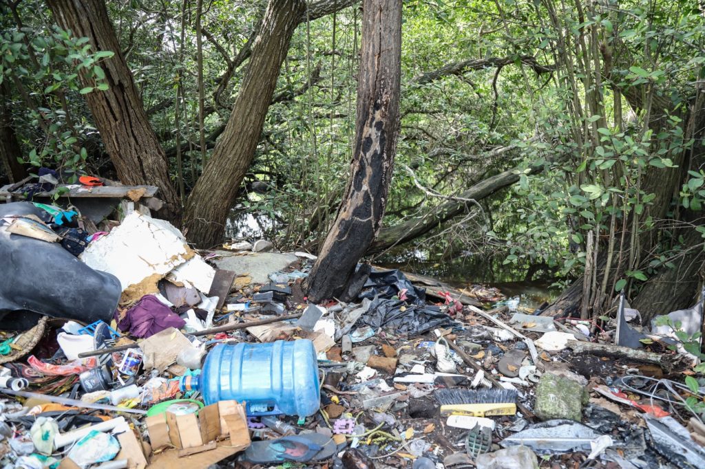 de que manera esta en riesgo la biodiversidad en veracruz