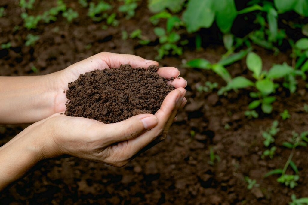 de que manera la tierra para plantas puede danar el medio ambiente