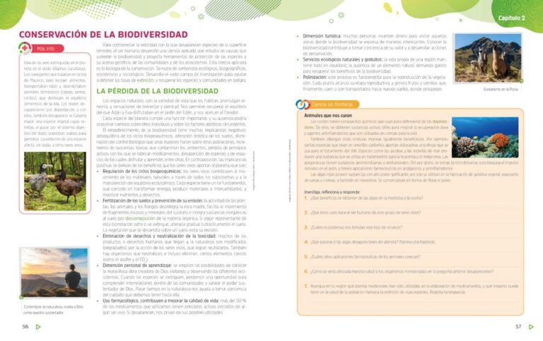 De qué modo desafía el escarabajo las expectativas de tamaño
