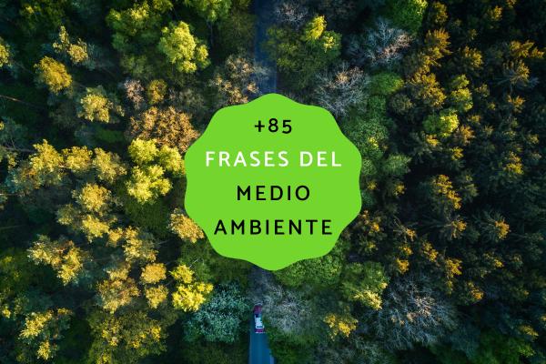 Del medio ambiente: +85 frases para enseñar a los niños