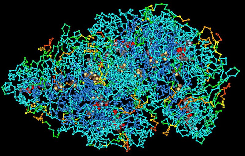 diferencia entre atomos y moleculas comprende sus funciones