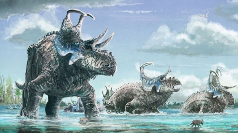 dinosaurio con caparazon descubierta nueva especie fosil