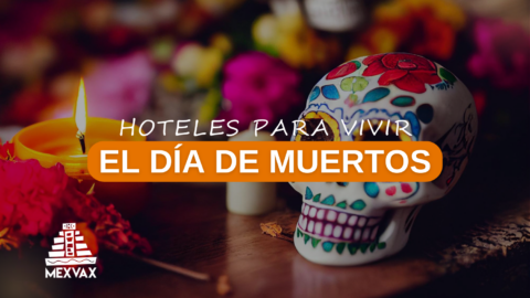 donde hospedarse en oaxaca para disfrutar del dia de muertos
