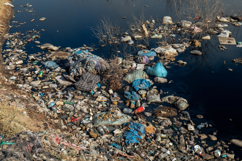 el agua tiene vida pero tambien puede causar enfermedades