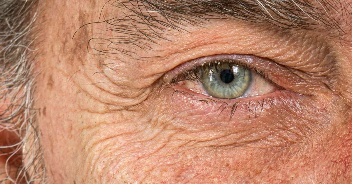 el cuerpo envejece en estallidos a los 44 y 60 anos