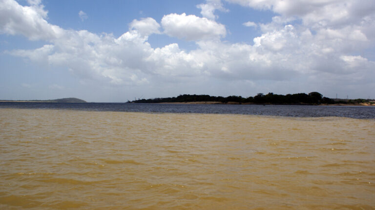 El río Misisipi es el más largo de América y afecta San Luis