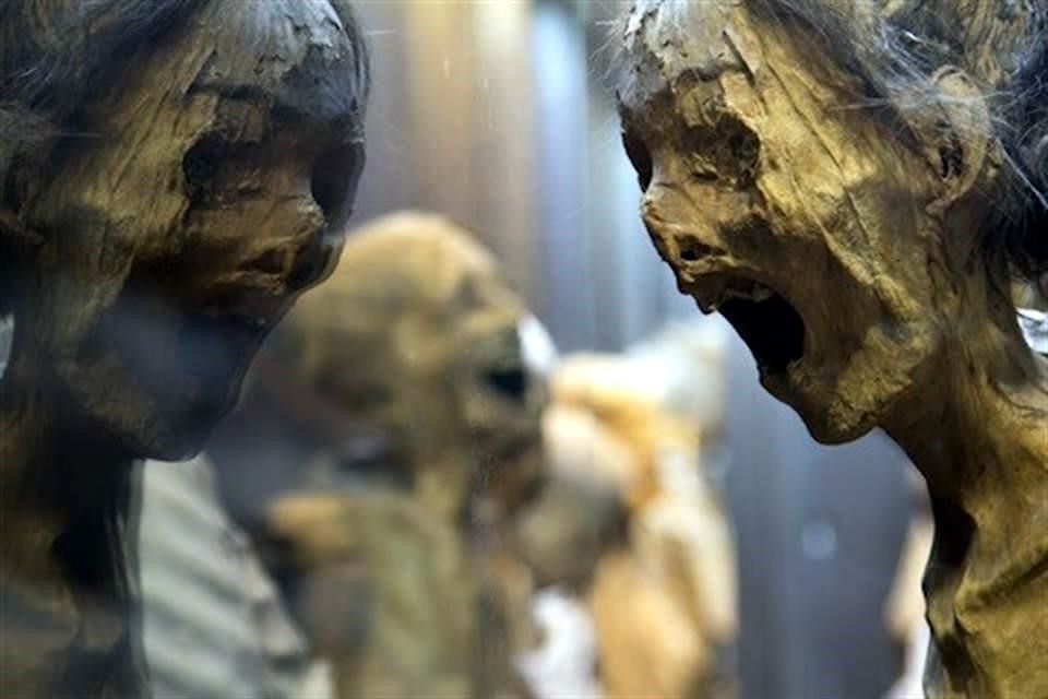 es adecuado exhibir restos humanos en el museo de las momias