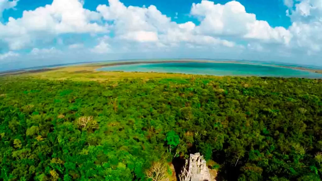 es la biodiversidad mexicana un tesoro natural a proteger
