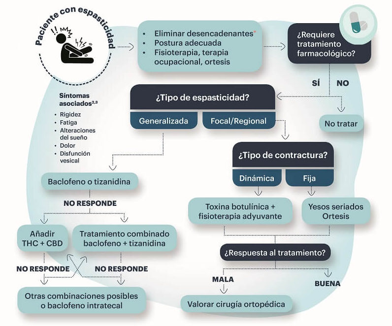 esclerosis multiple causas y mayor riesgo en mujeres