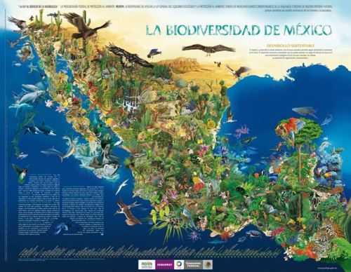 Especies en Peligro de Extinción en México: Un Mapa Vital