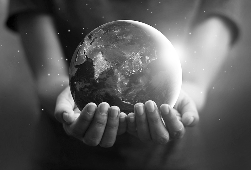 evolucion del ser humano conceptos basicos y su impacto