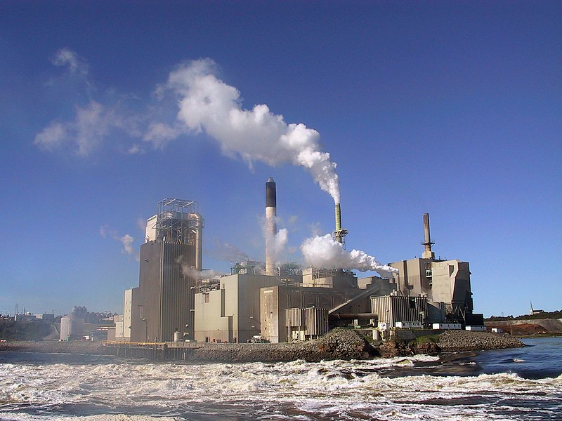 fabrica de papel problemas ambientales y su impacto global