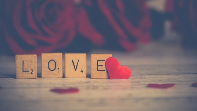 Frase linda: 10 Reflexiones sobre el Amor por los Gatos