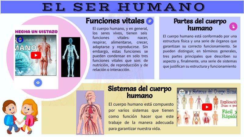 funcion de reproduccion que es y su importancia en la vida