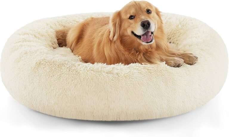 Grande perro pelo largo: 10 razas que te encantarán