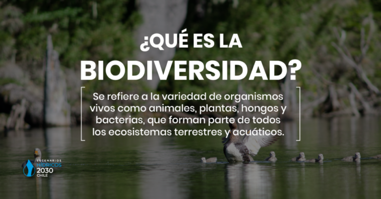 Defin: Entendiendo la Relevancia del Agua