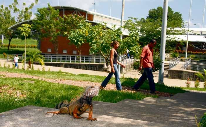 Hay mutaciones genéticas en hijos de sobrevivientes de Chernóbil
